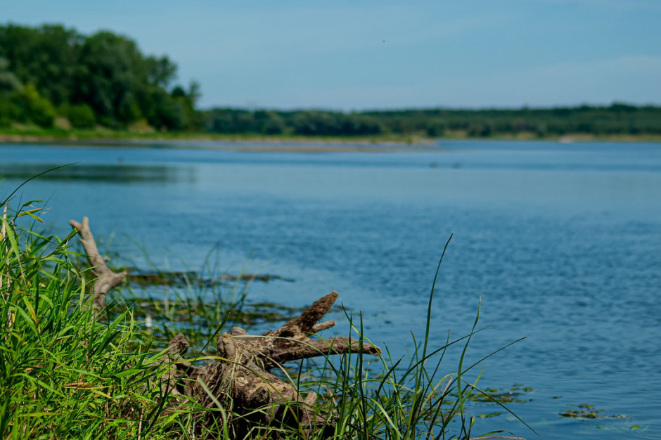 Celem renaturyzacji rzek jest poprawa funkcjonowania ekosystemów. Na zdjęciu Wisła (fot. adamtepl/Pixabay)