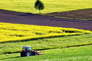 78 mld euro z Unii Europejskiej trafiło do wsi i rolników (fot. pixabay)