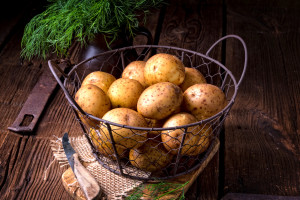 Okowita z ziemniaka stanie się polską specjalnością na unijnym rynku - twierdzi resort rolnictwa (fot. Shutterstock/Dar1930)