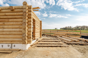 Możliwe będzie szersze stosowanie elementów drewnianych w budownictwie (fot. Shutterstock/Damian Lugowski)