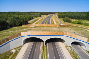 La ruta a través de Polonia conectará el norte y el sur de Europa. El gobierno se hará cargo de viviendas y terrenos para la construcción de la carretera.